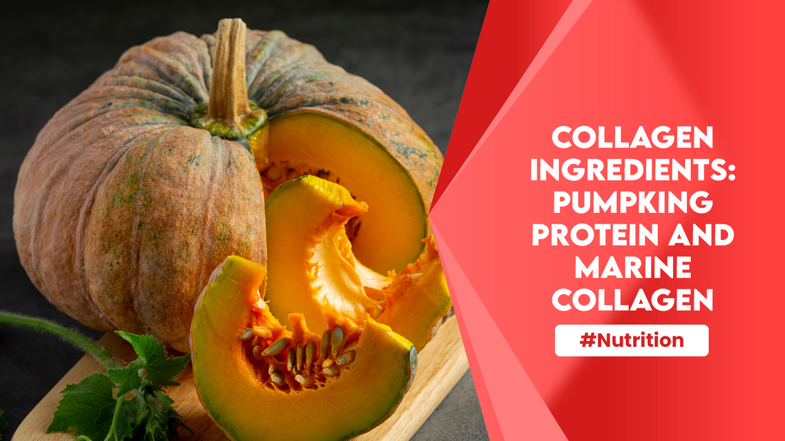 Collagen Ingredients: Pumpkin Protein and Marine Collagen