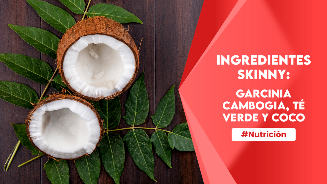 Ingredientes Skinny: Garcinia Cambogia, Extracto de Té Verde y Coco
